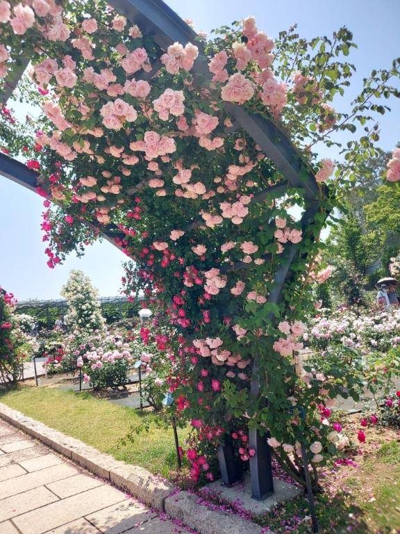 ありがとう(*^ーﾟ)