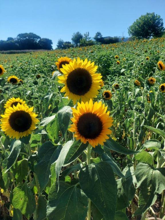 ありがとう(*_ _)