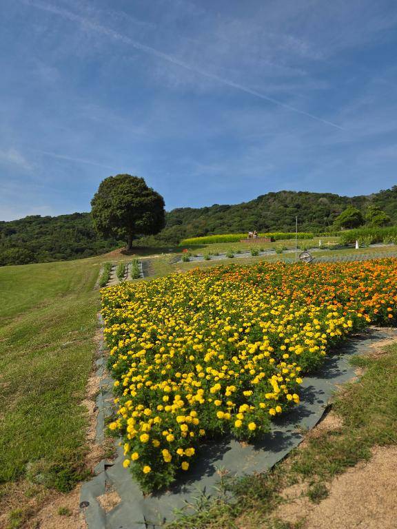 ありがとう(*´-｀*)ゞ