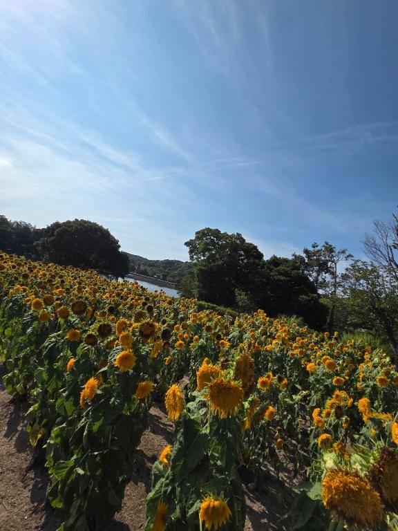 ありがとう(*´∇｀)