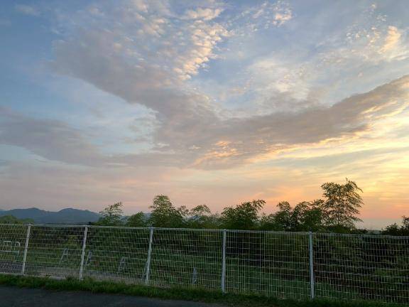 ありがとう(*´∇｀)