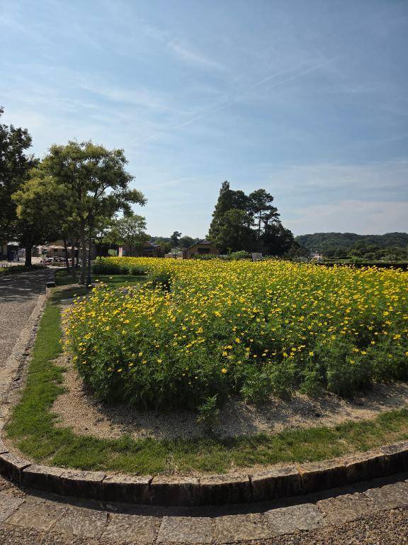 ありがとう(^-^)