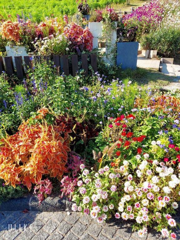 ありがとう(^o^)