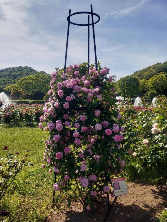 ありがとう(^o^)