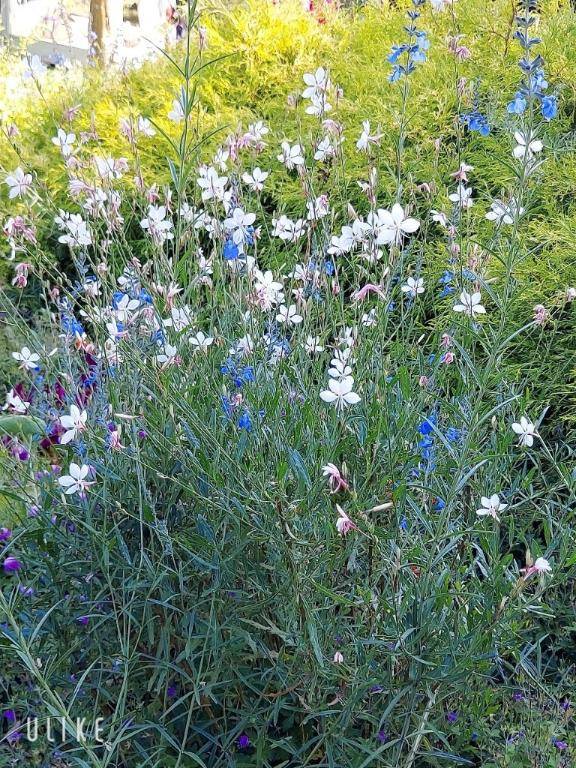 ありがとう(^o^)