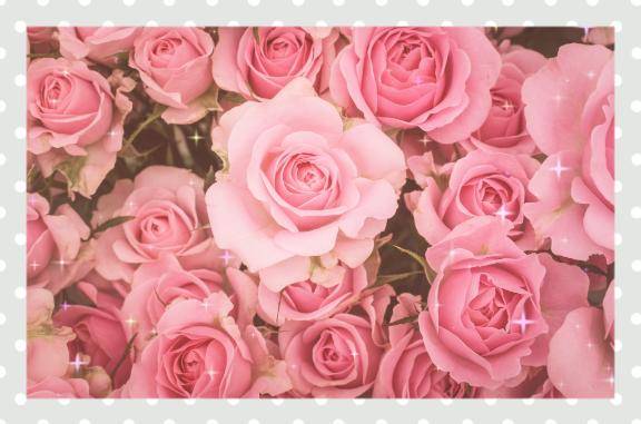 ナナ（RED ROOM（レッドルーム））