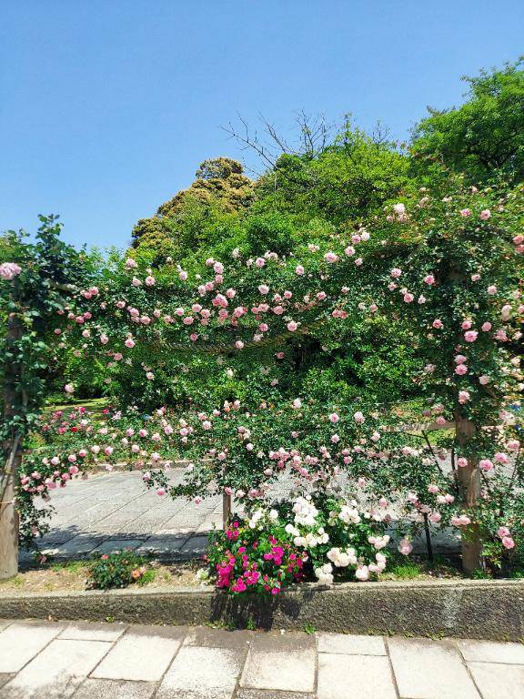 ありがとう(*´∇｀)