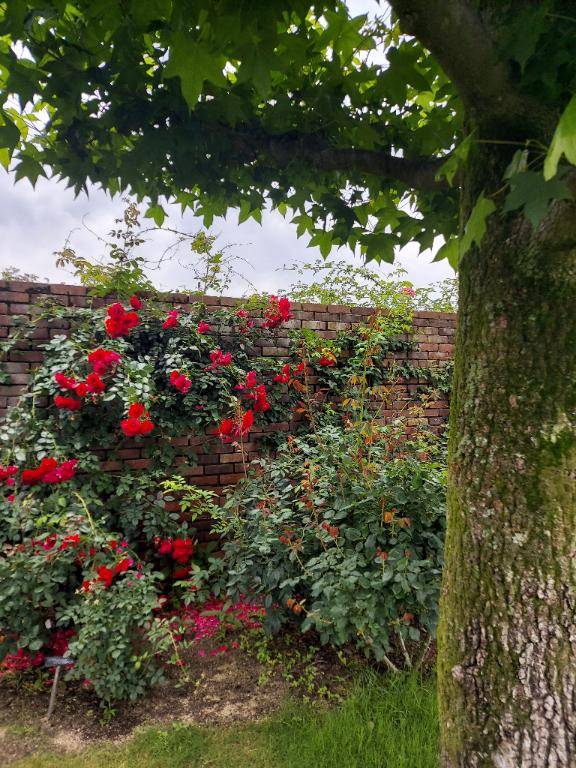 ありがとう(^o^)