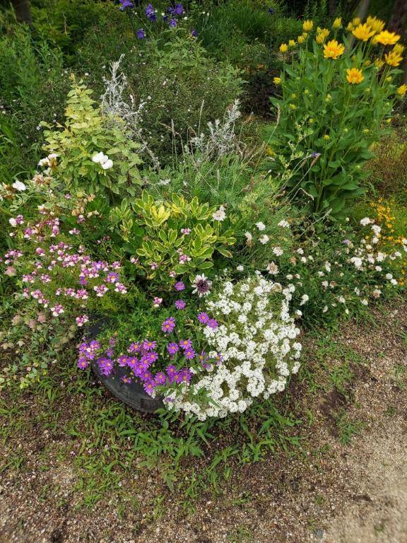 ありがとう(^-^)