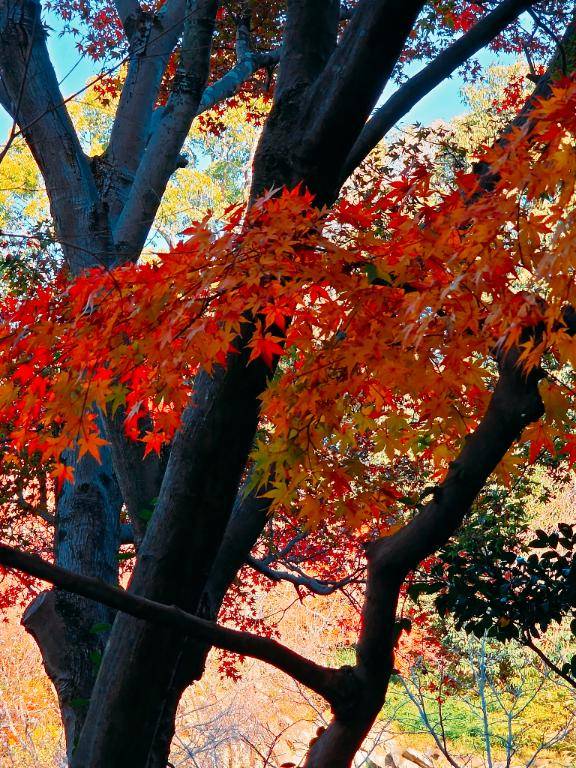 ありがとう(^-^)