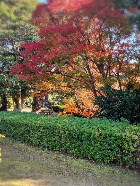 ありがとう(^o^)