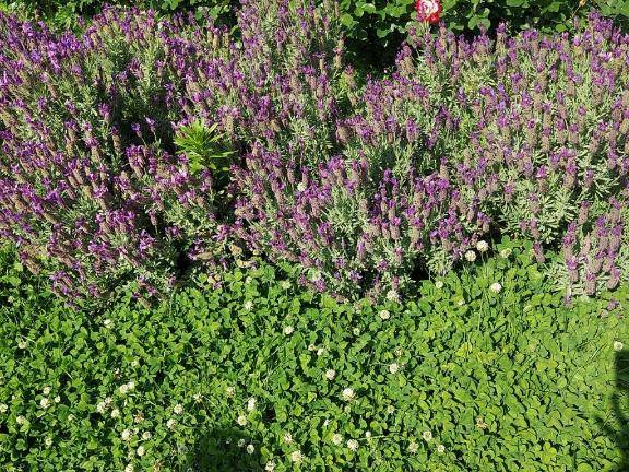 ありがとう(*´∇｀)