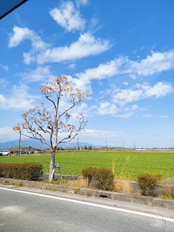 ありがとう(*^^*)