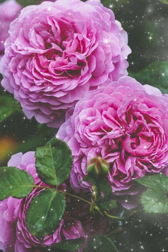 ありがとう(^o^)