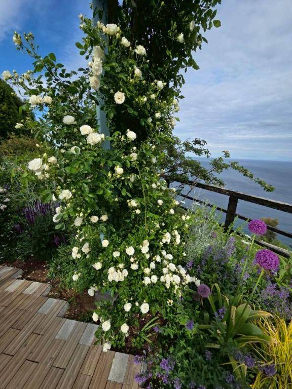 ありがとう(^o^)