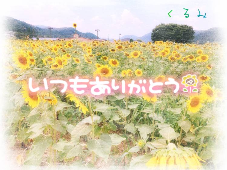 お盆休み🌻*.゚