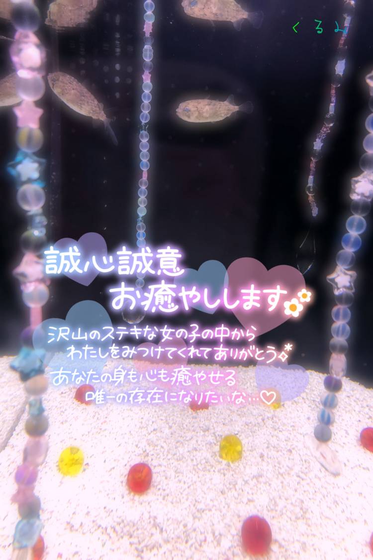 今週も♪♪