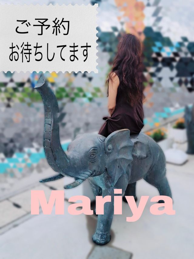 おやすみなさい😴
