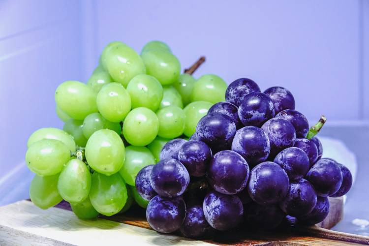 秋の味覚🍇