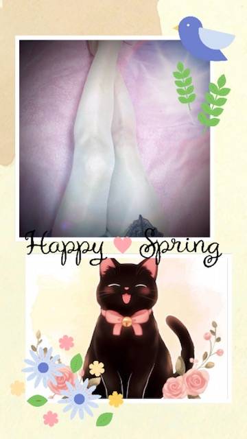ほっこり春陽気♪ですね(⌒▽⌒)