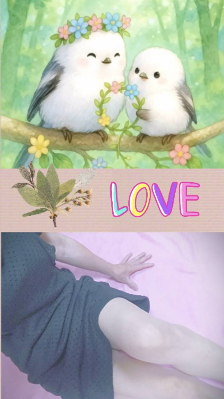 今日は母の日でしたね~(⌒▽⌒)