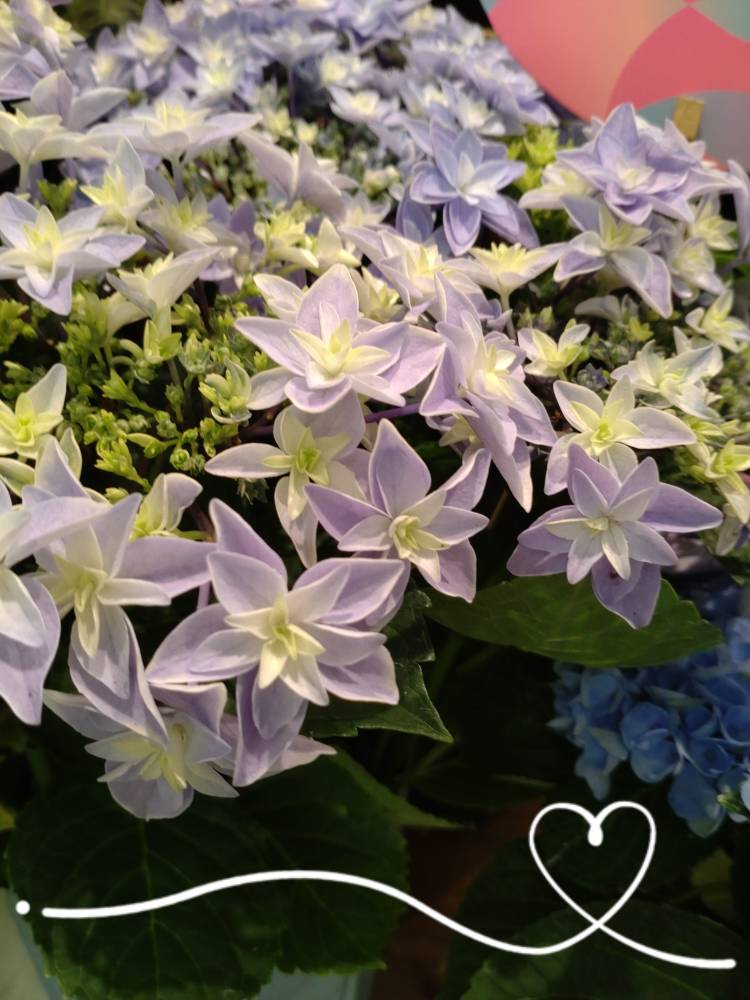 お疲れ様です