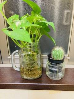 有難うございます♪