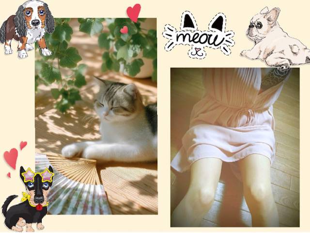 お盆休み中～です(⌒▽⌒)