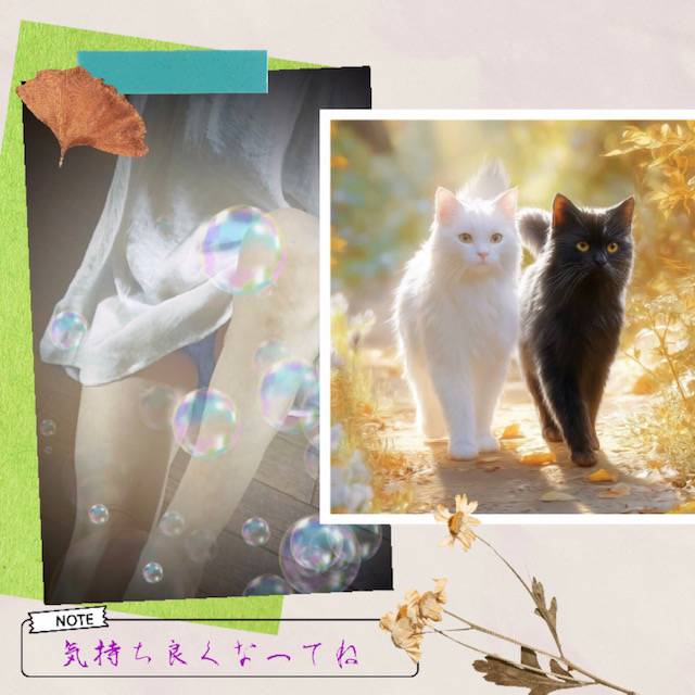 涼し気な一日だといいですねぇ～♪