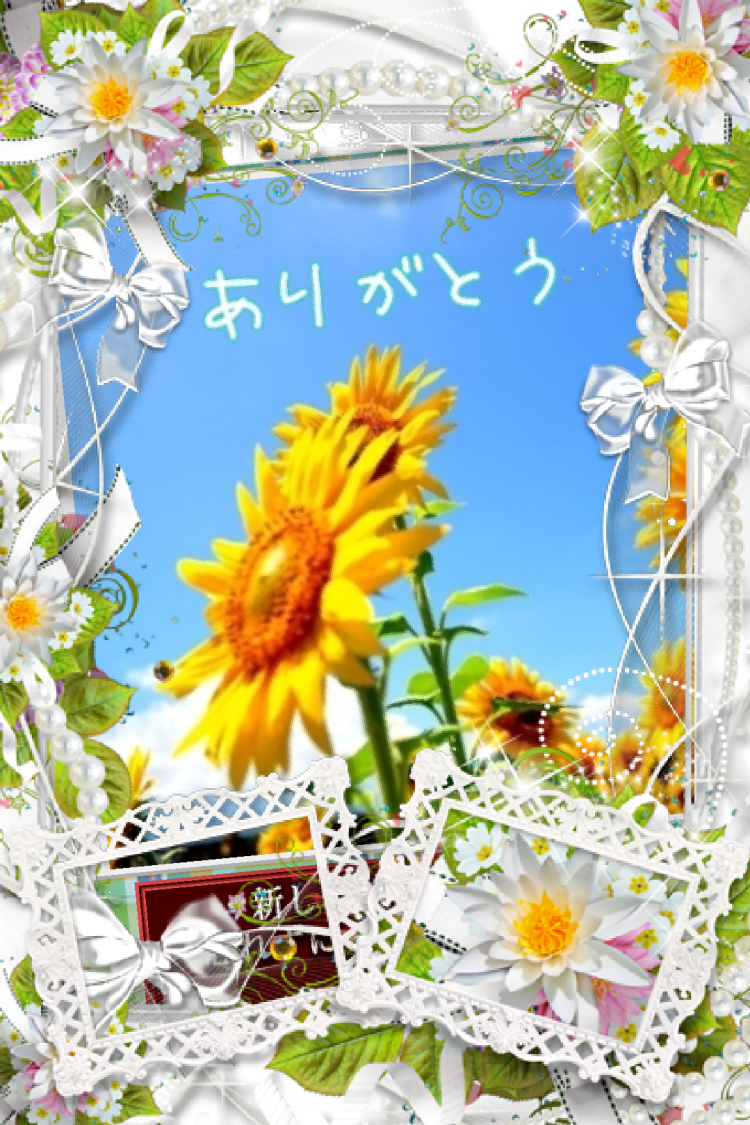 ななみです