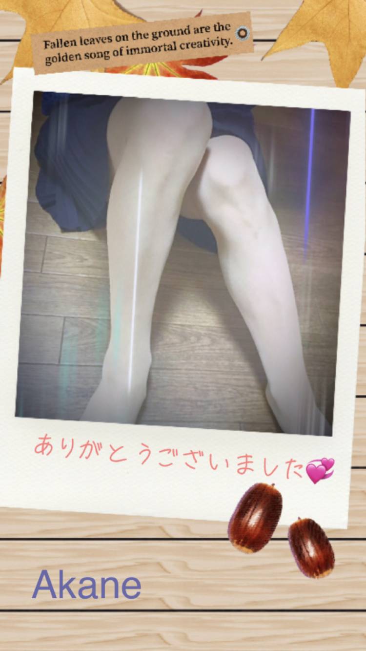 三連休も終わりですねぇ~☆彡