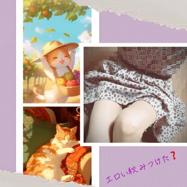 暑さ残る秋晴れですね～(⌒▽⌒)
