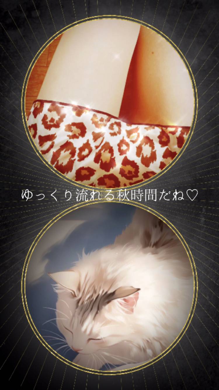 夜は冷たい雨を呼ぶのかなぁ～