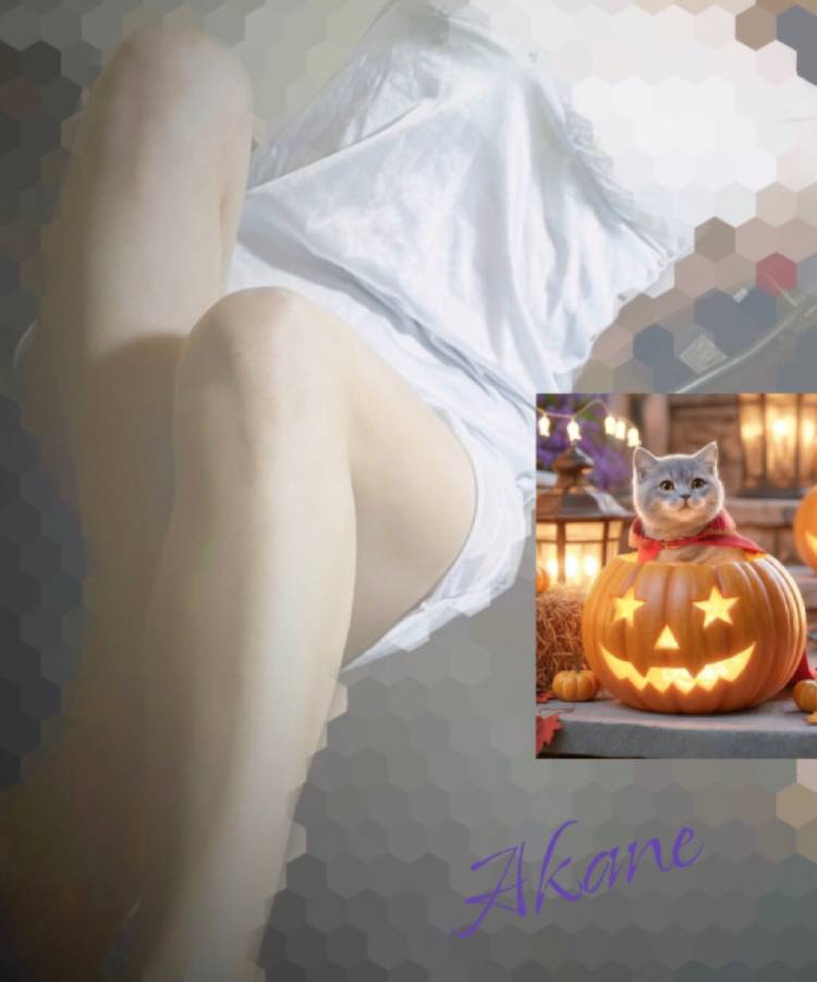 今日も一日お疲れさまでした~