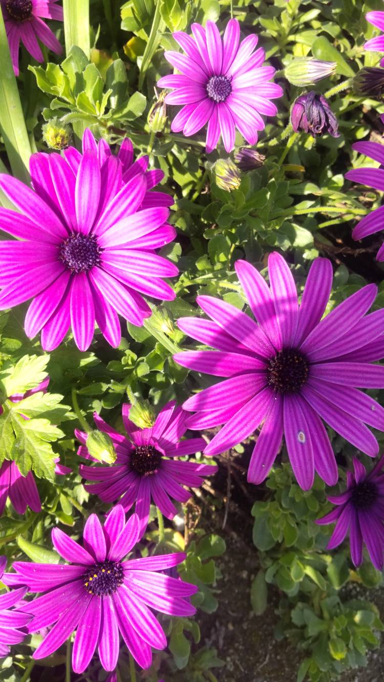 冷え込んでる朝です