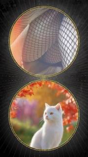 秋を感じて出勤開始～