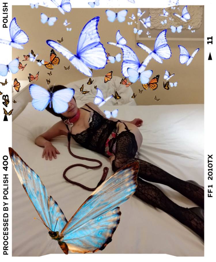 無料オプション！