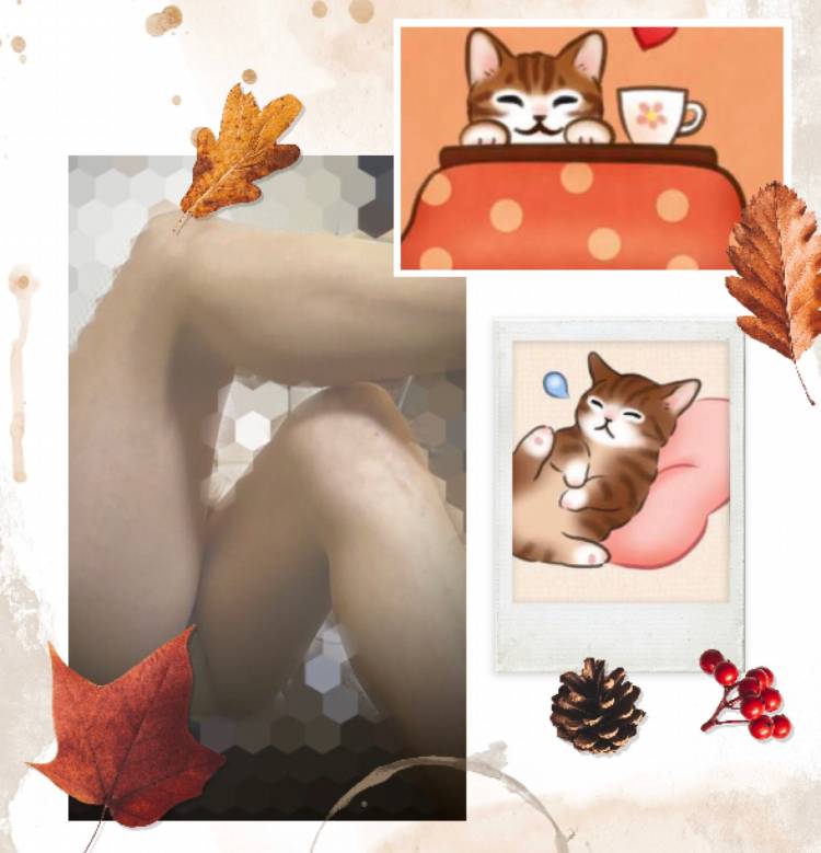 お疲れ様でした～(⌒▽⌒)