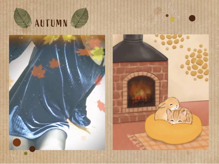 風邪ひかないでね(=^▽^)σ