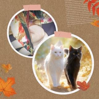 金曜日は心が弾みますね～♪