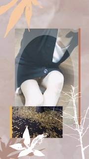 枯れ葉が舞い散る季節だね