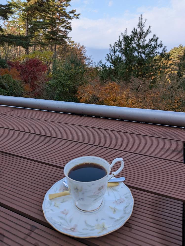 今日も素敵な1日を