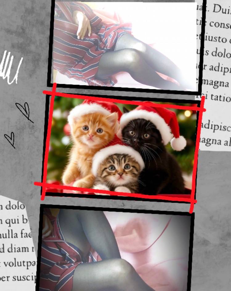 飛行機の日らしい♪