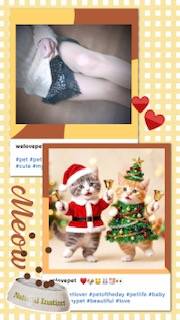 虹を待ってるあかねです