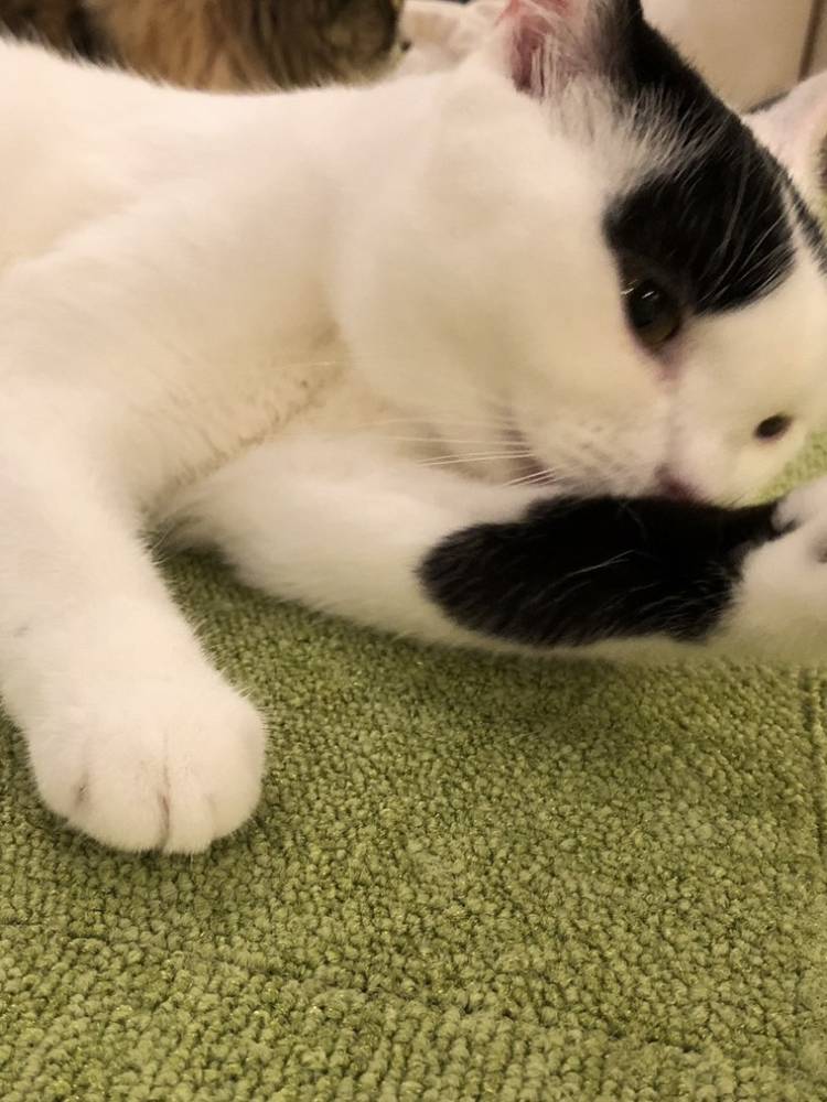 ただいま出勤中♪ご予約はお早めに?