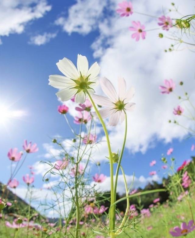 お誘い(*˘︶˘*).｡.:*♡ありがとうございましたぁ‪🫶