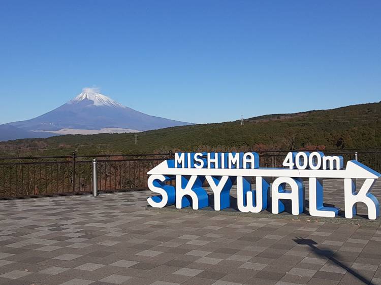 早朝の三島☆まなみ☆