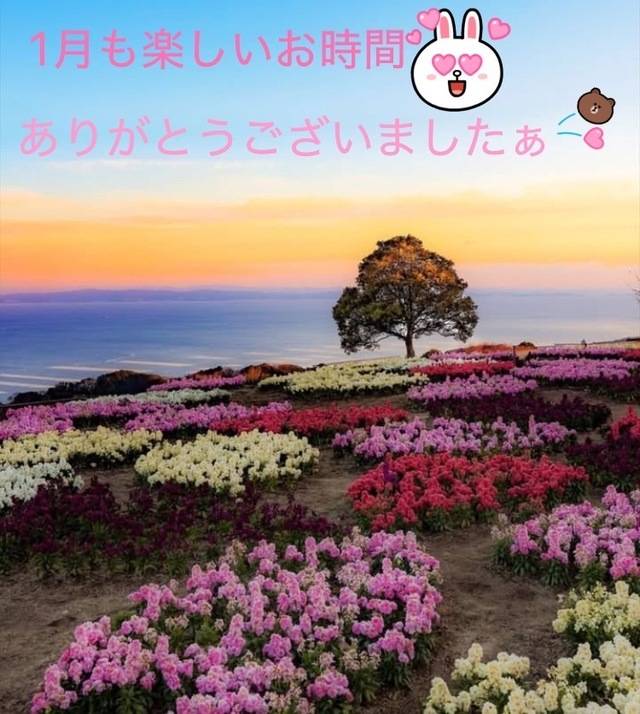 ありがとうございましたぁ‪*.(∩´͈ ˘ `͈∩).*‬🧡