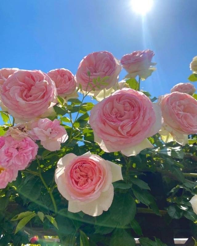 お誘い꒰՞⸝⸝⊃ ·̫ <՞꒱❤︎ありがとうございましたぁ🫶