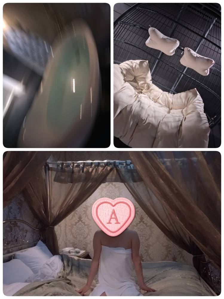 あられ1423(*´ω`*)